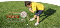 Acacia Turf Farm