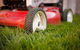 Beau Park Turf Farm - thumb 0
