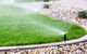 Beau Park Turf Farm - thumb 2