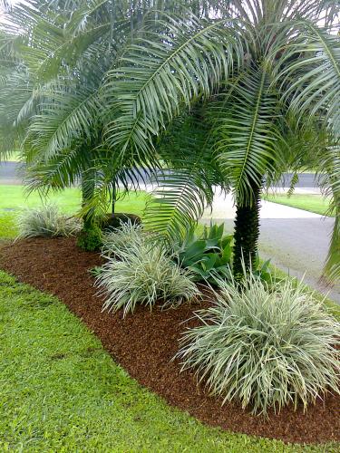 Building Maintenance Services Innisfail QLD Renee