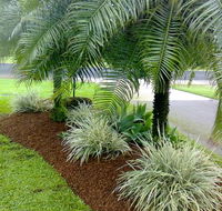 Thomos Mowing - Internet Find