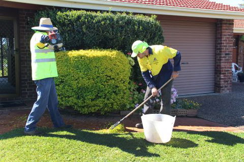 Complete Grounds Care - Renee 2