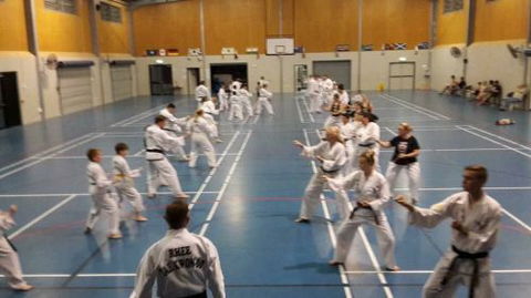 Rhee Tae Kwon Do - Internet Find 1