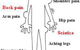Mark Jones–Remedial & Sports Massage Therapy - thumb 0