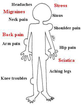 Mark Jones–Remedial & Sports Massage Therapy - Renee 0