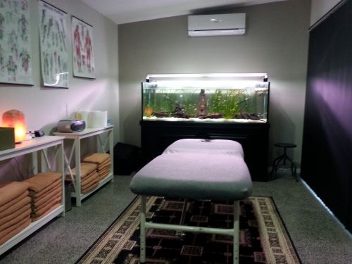 Massage Therapists Port Macquarie NSW Qld Realsetate