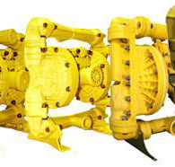 IPS Pumps 2000 - Renee