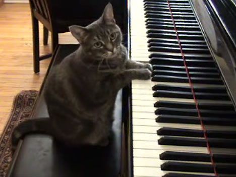 Nancy Hoskings Piano Studio - Renee 3