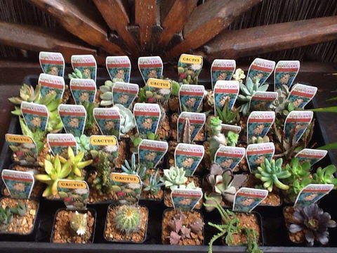 Jigsaw Garden Centre - Internet Find 0
