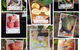 Jigsaw Garden Centre - thumb 1