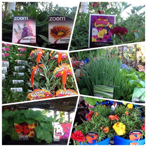 Jigsaw Garden Centre - Internet Find 2