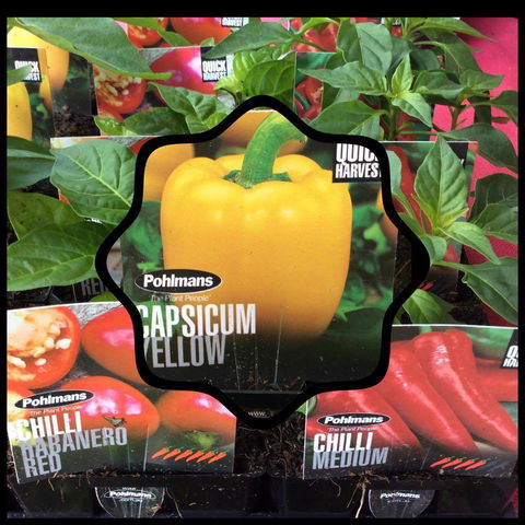 Jigsaw Garden Centre - Internet Find 4