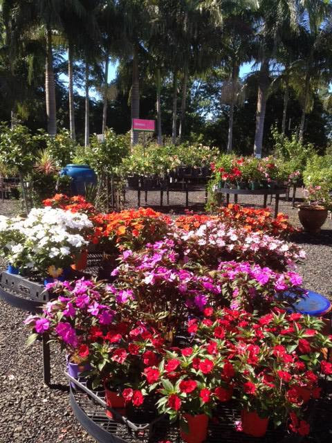 Shopping Centres Renee