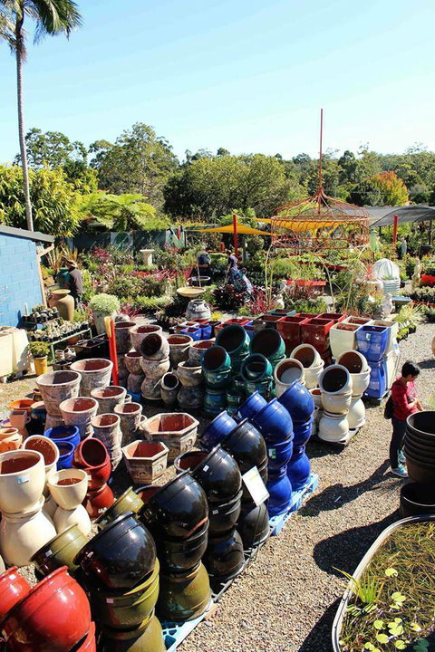 Greenbourne Nursery - Swimm 2