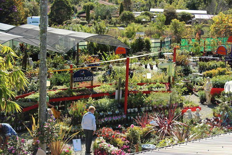 Greenbourne Nursery - Swimm 3