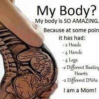 Optimal Midwifery - Swimm 3