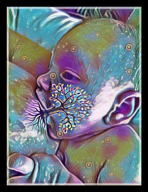 Optimal Midwifery - Swimm 4