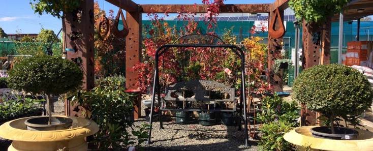 Nurseries Garden Centres Moss Vale NSW Renee