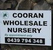 Cooran Wholesale Nursery - Internet Find