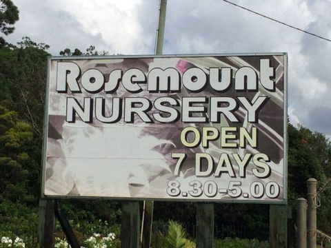 Rosemount Nursery - Renee 1