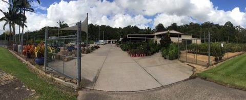 Rosemount Nursery - Renee 2