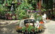 Doonan Valley Garden Centre - thumb 2