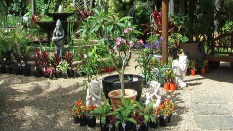 Doonan Valley Garden Centre - Renee 2