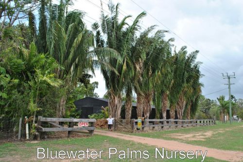 Nurseries Garden Centres Bluewater QLD Petrol Stations
