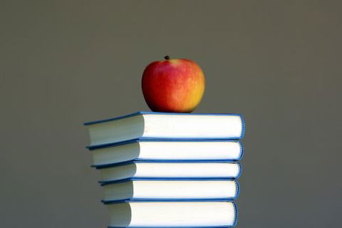 Allied Osteopathy - Renee 2