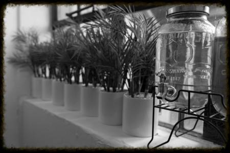 The Clinic Osteopathy & Dry Needling - Swimm 4