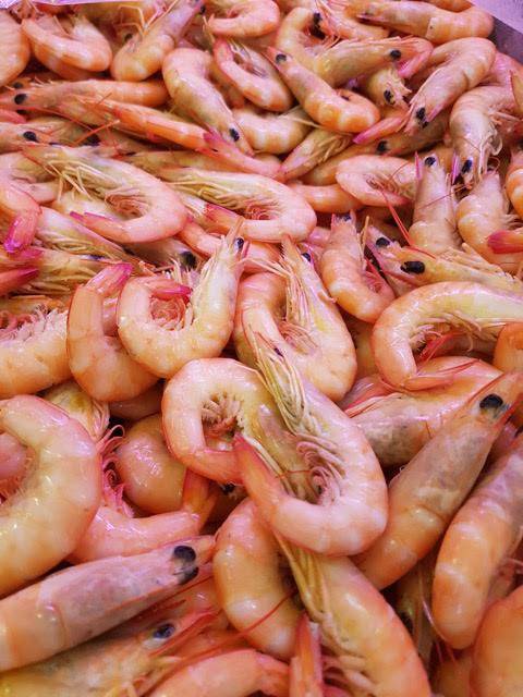 Seafood Wholesaler Co Op Portsmith QLD Internet Find