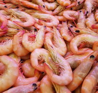 Great Barrier Reef Tuna - Internet Find