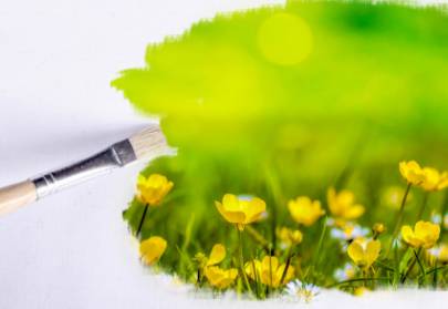 Foo Doug Painting Services - Renee 3