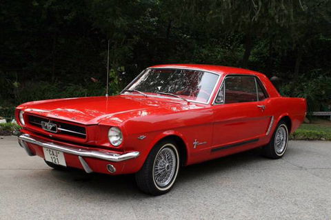 Rogers Automotive Panel & Paint - Renee 1