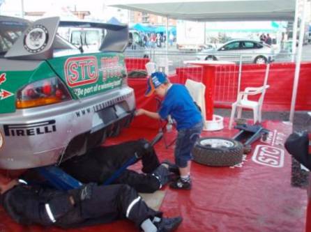 Pro Finish - Renee 2