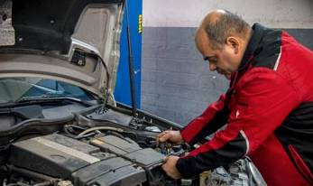 Pro Finish - Renee 4