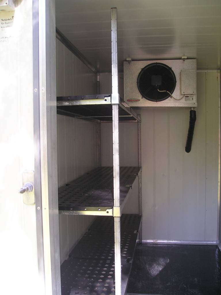 Dvd Video Hire Edgeworth NSW Renee