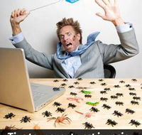 Southern Cross Termite  Pest Control - Internet Find