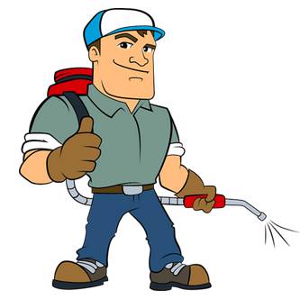 Pest Control Pialba QLD Renee