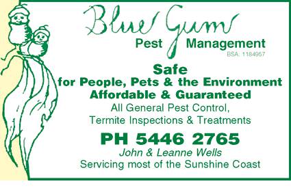 Blue Gum Pest Control Coolum - Swimm 2