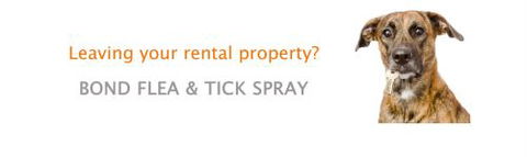 Total Pest Management Townsville - Internet Find 0