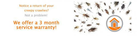Total Pest Management Townsville - Internet Find 1