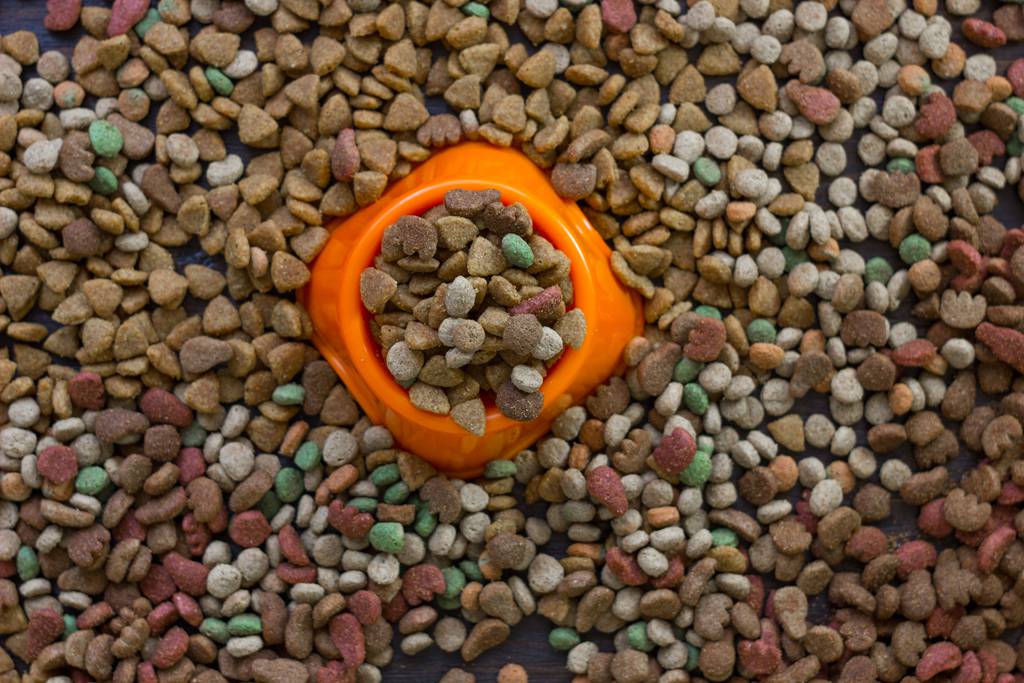 Pet Shops Rathmines NSW Renee