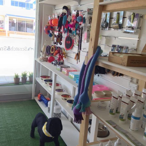 Scratch & Sniff - Swimm 0