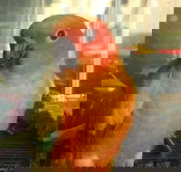 Port Stephens Pet Warehouse - Internet Find