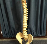 Active Physiotherapy Solutions - Renee