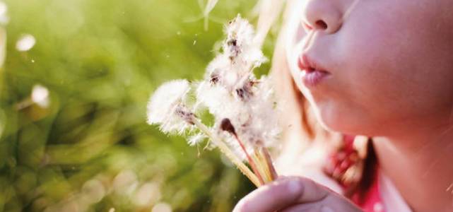 Physiotherapists Beaconsfield QLD Renee