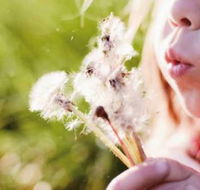 Kerrisdale Gardens Physiotherapy  Wellness Centre - Renee