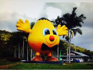 Signs Aitkenvale QLD Swimm