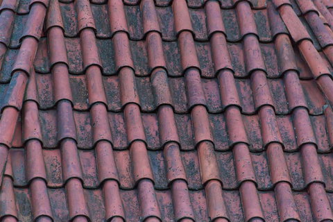 Edwards Plumbing Pty Ltd - Swimm 4